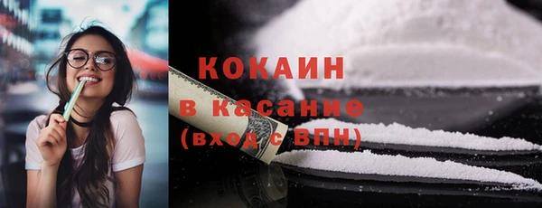 шишки Балахна