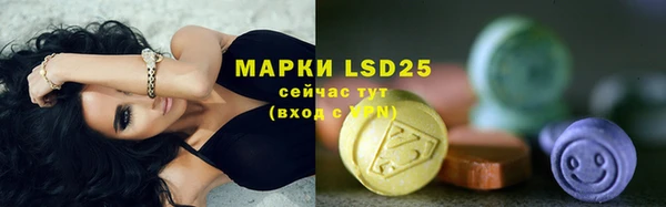 шишки Балахна