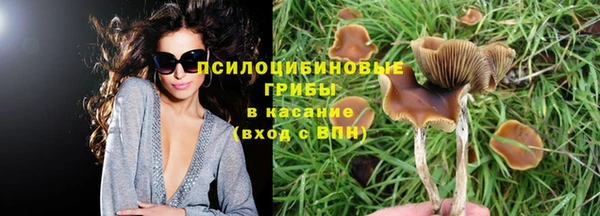 гидропоника Наволоки