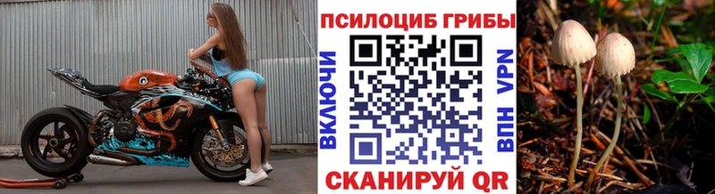Псилоцибиновые грибы GOLDEN TEACHER  наркота  KRAKEN tor  Боровск 